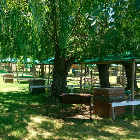 Sitios de camping bajo los sauces, con mesones de madera y techos verdes