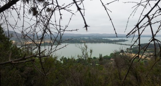 El Lago Rapel visto desde el cerro, entre ramas